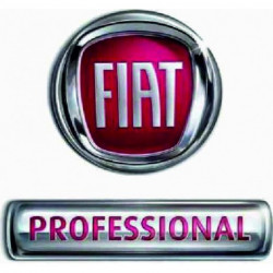 Logo FIAT PROFESSIONAL da...